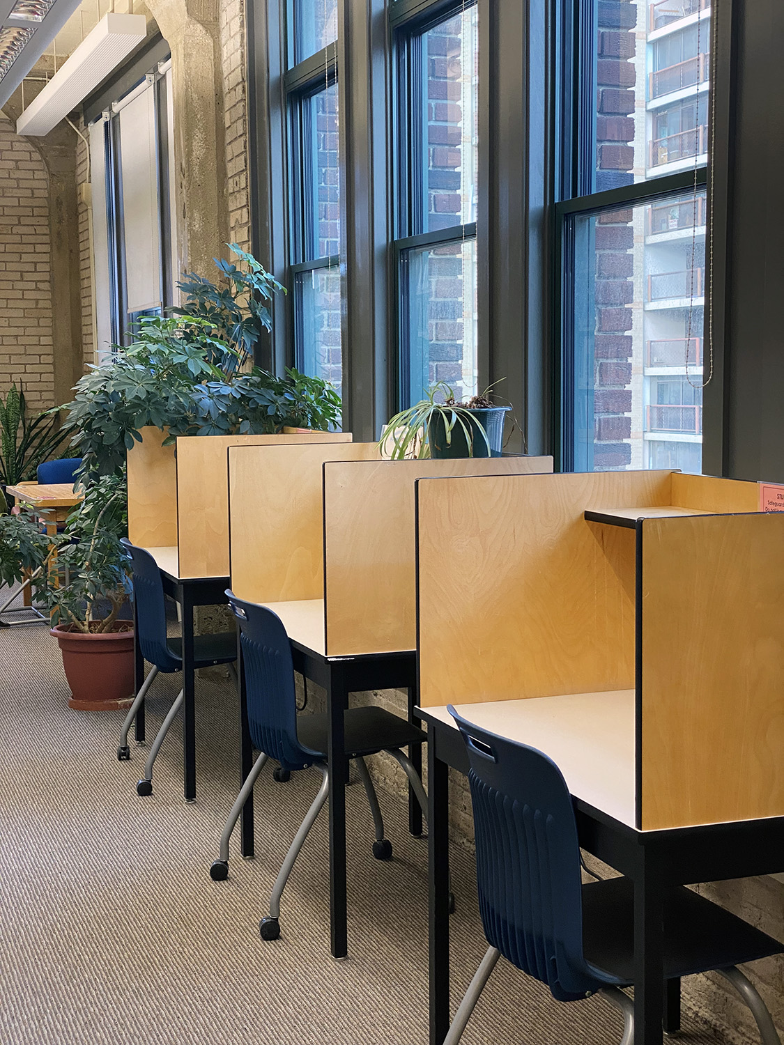 School desks in a line with privacy walls between them in a study centre